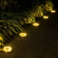 GardenGlimmer™ Ground Lights